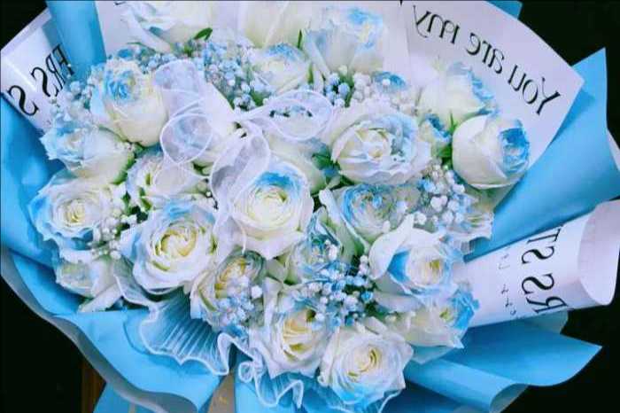���ױ�������ʯ����